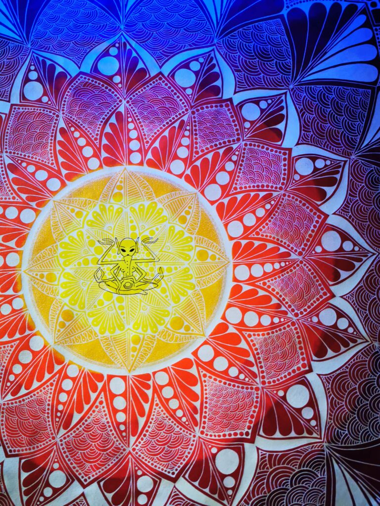 Jessies Art Nexus Leinwand Mandala